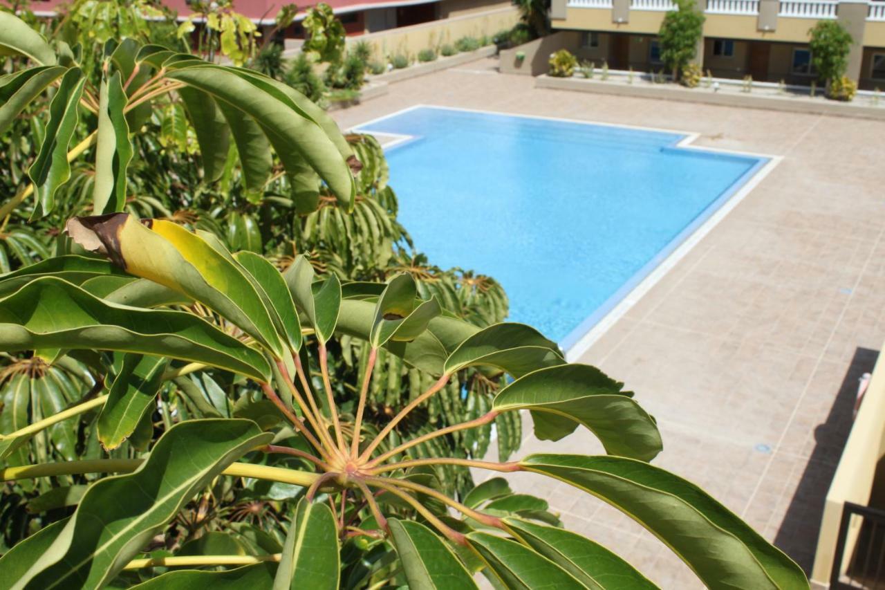 Apartment Medano Relax